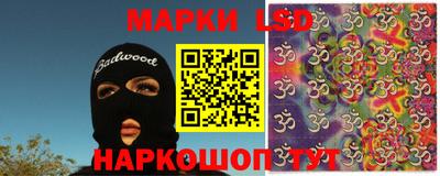 шишки Кандалакша