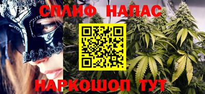 спиды Кинель