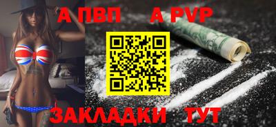 шишки Кандалакша