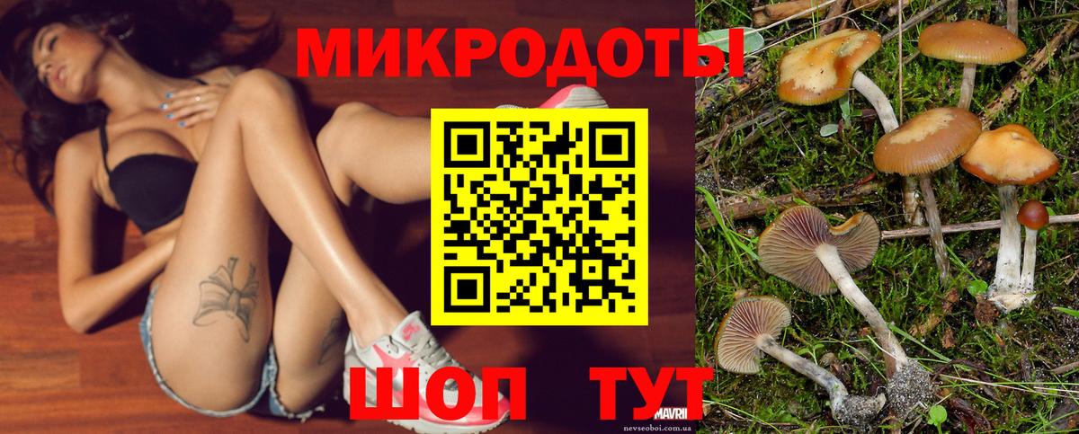 Королёв  Галлюциногенные грибы MAGIC MUSHROOMS  Вход с VPN 